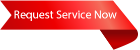 request-service-now-ribbon